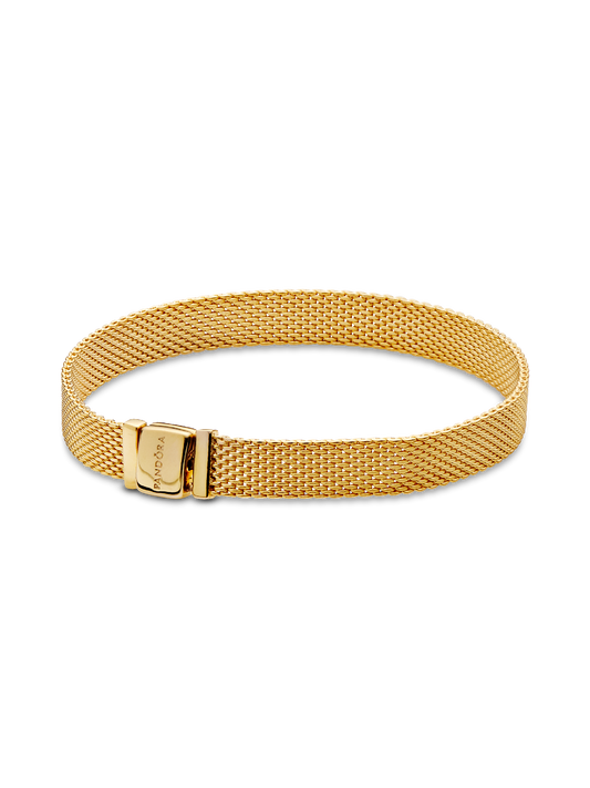 Pandora Reflexions Mesh Bracelet
