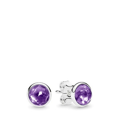 Feburary Droplet Stud Earrings