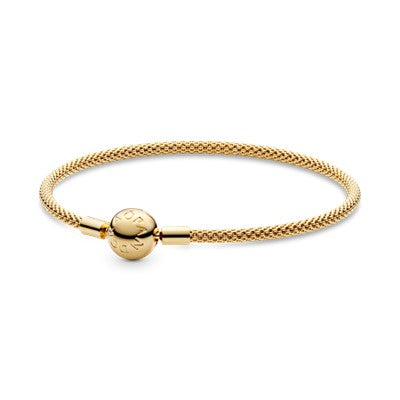 Pandora Shine Moments Mesh Bracelet