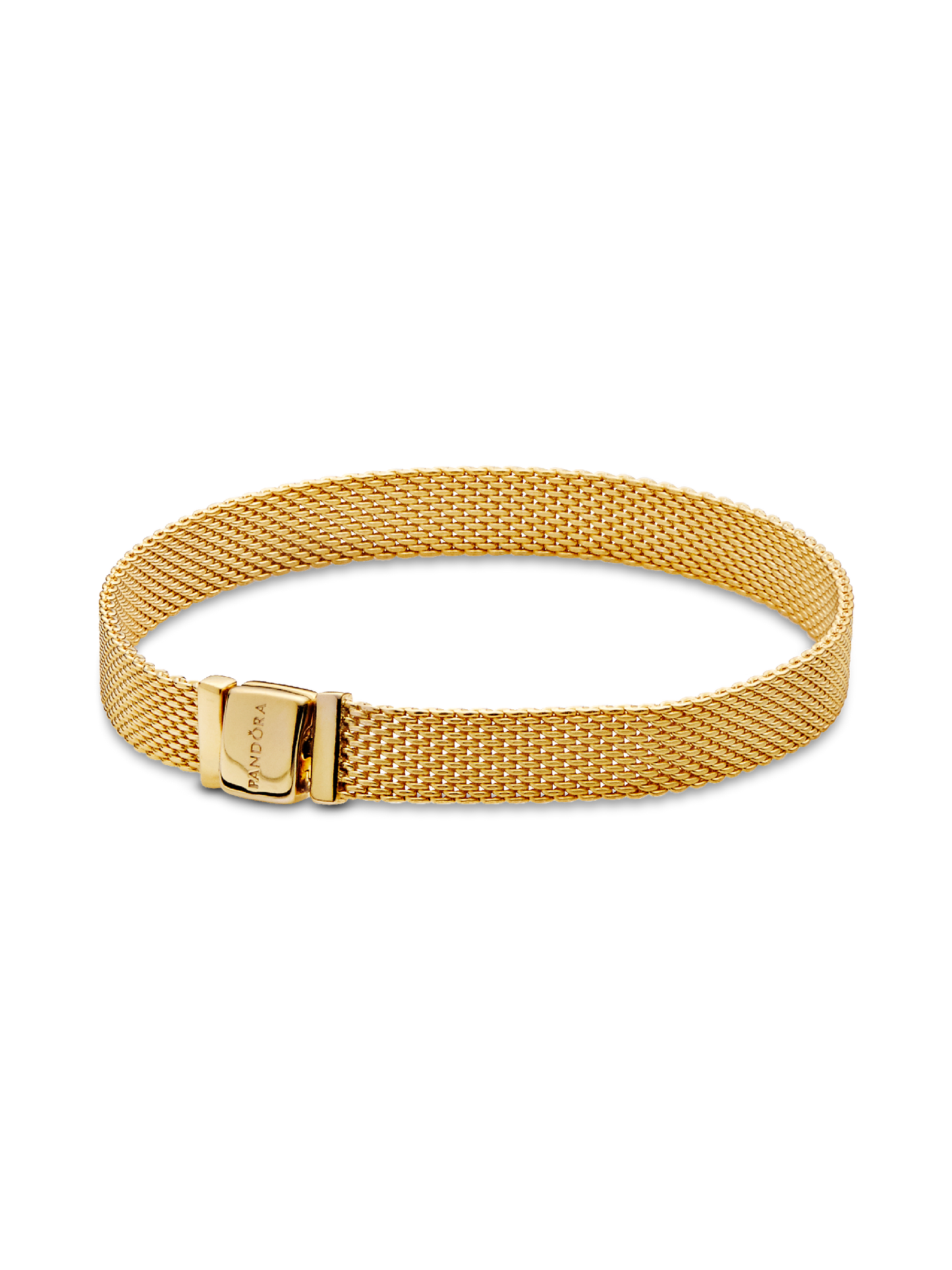 Pandora Reflexions Mesh Bracelet