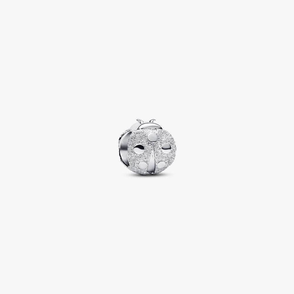 Textured Ladybird Mini Charm