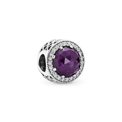 Sparkling Purple Charm