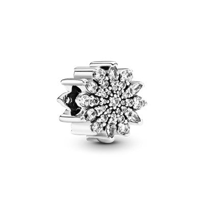 Ice Crystal Charm