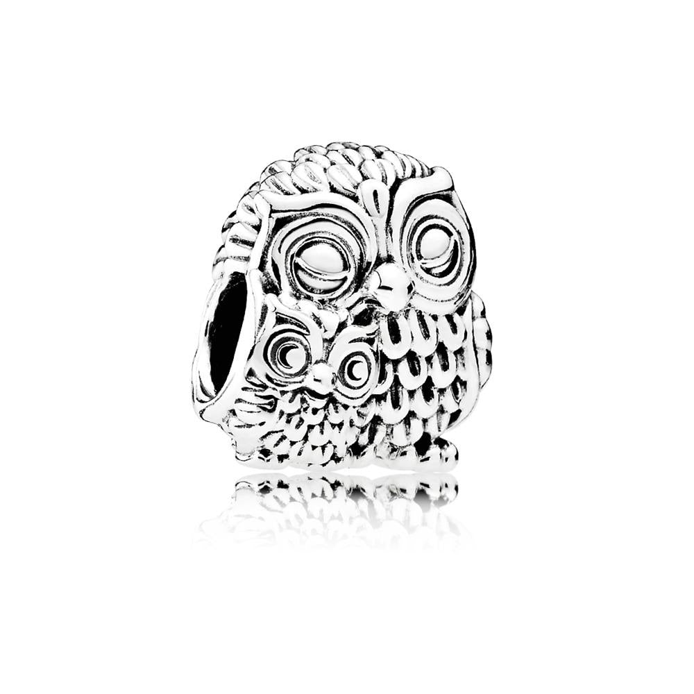 Mother Owl and Baby Owl Charm