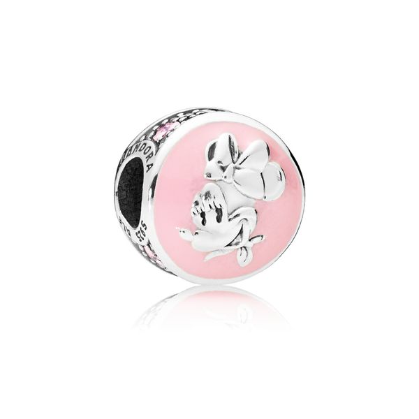 Disney Minnie Mouse Vintage Charm